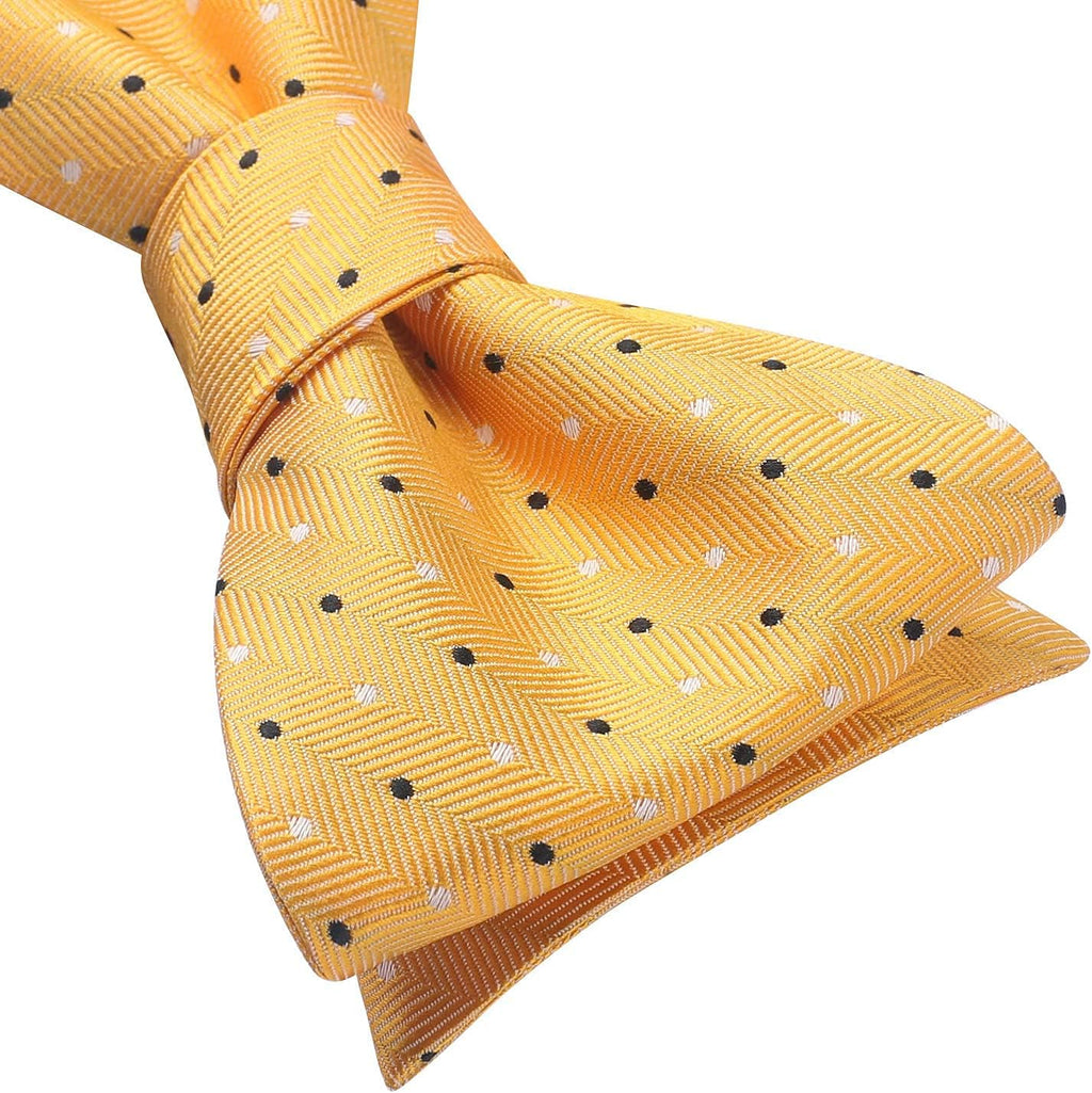 Bow Ties for Men Polka Dot Selftie Bowtie and Pocket Square Classic Business Tuxedo Wedding Bowties Handkerchief